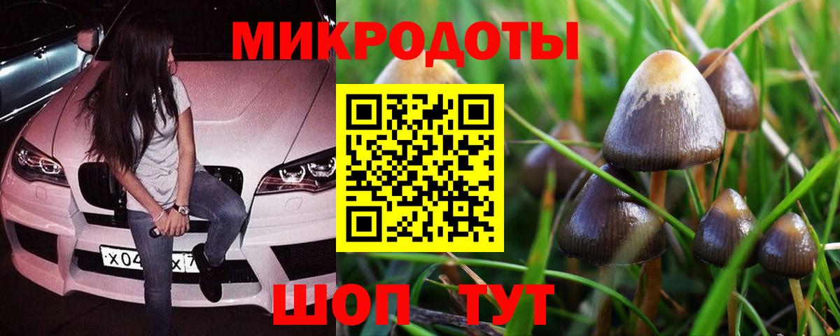 Галлюциногенные грибы Psilocybe  Вход с VPN  Новочебоксарск 